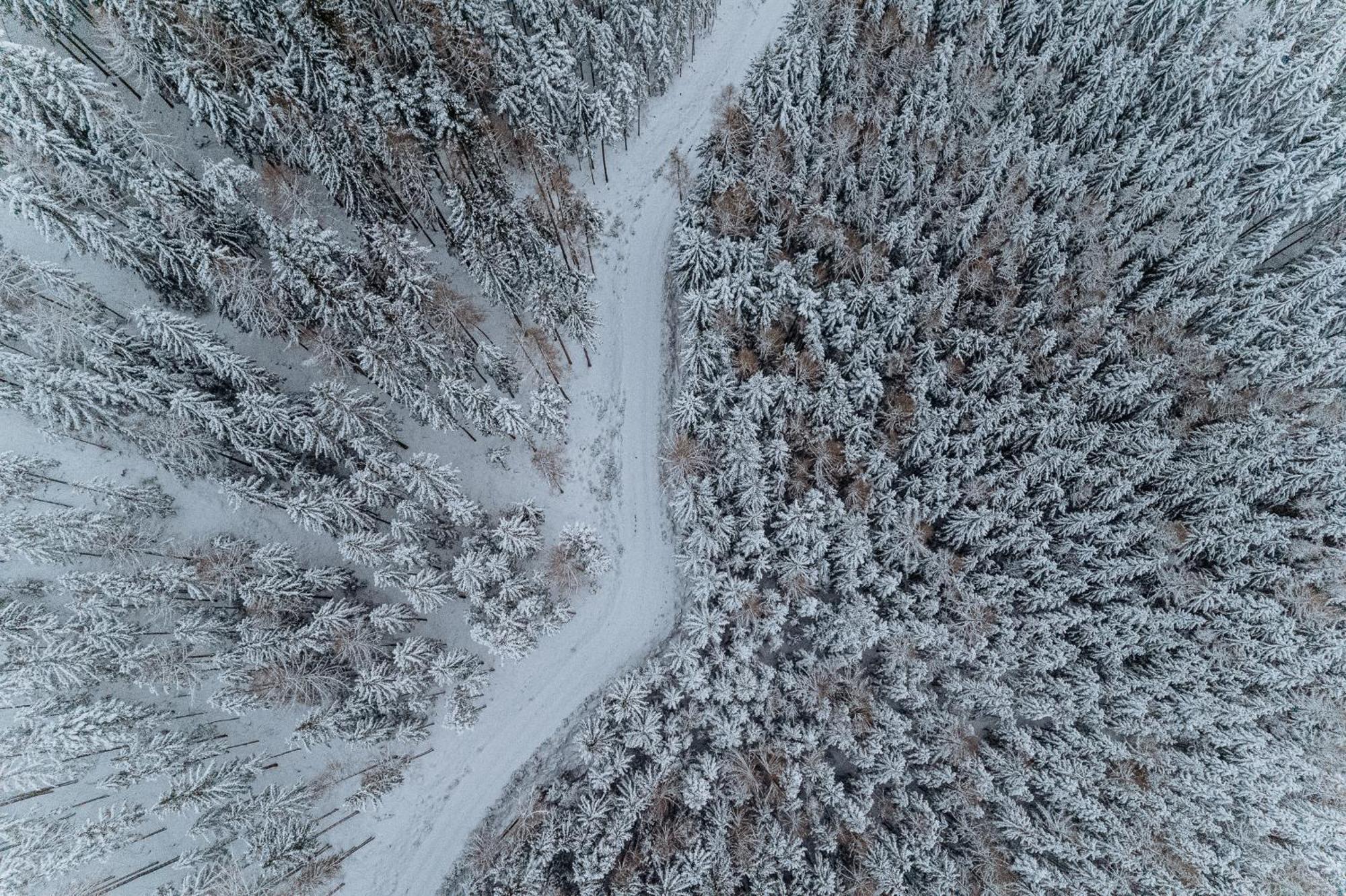 Der Löffler am Semmering Eksteriør billede