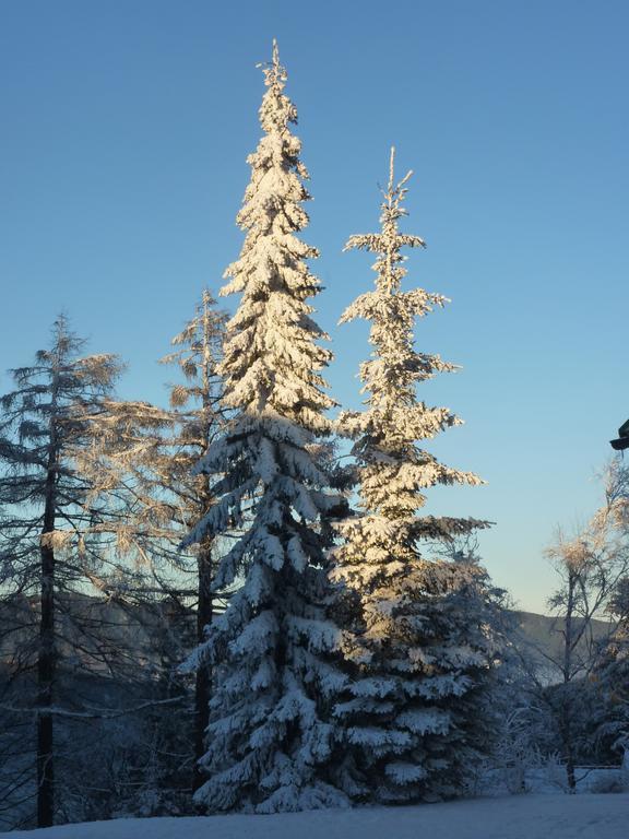 Der Löffler am Semmering Eksteriør billede